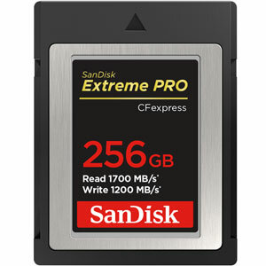 SanDisk Extreme Pro CFexpress Type B Card 256GB