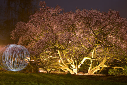 Workshop Spelen met Licht