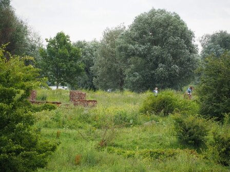 Photowalk Natuurgebied Meinerswijk