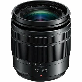 Panasonic Lumix 12-60mm 