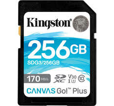 Kingston SDXC Card 256GB Canvas Go! Plus U3 V30 A2