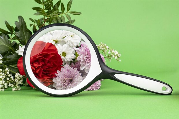 Dorr handloep HL-2 2x 90mm zwart/wit