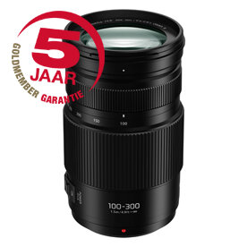 Panasonic LUMIX G VARIO 100-300mm f4.0-5.6 II Power OIS