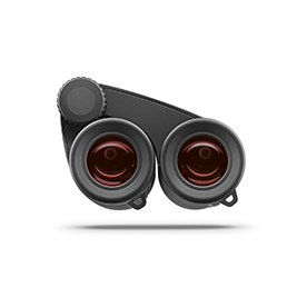 Zeiss Victory Pocket 10x25 black