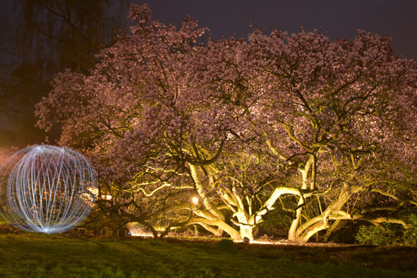 Workshop Spelen met Licht